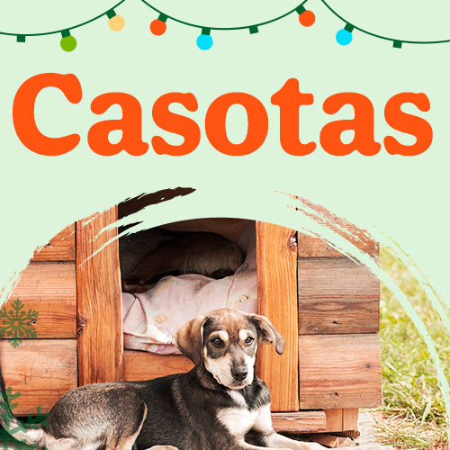 Promoções em Casotas