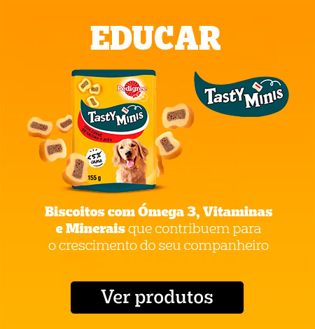 Snacks para educar