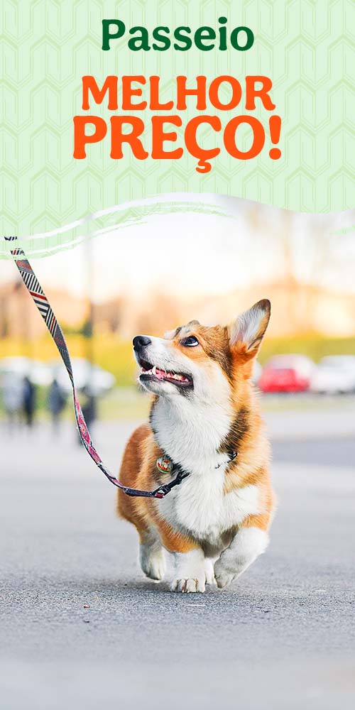 Acessórios de passeio com preços incriveis.