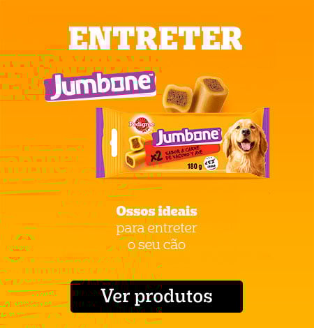 Snacks para entreter