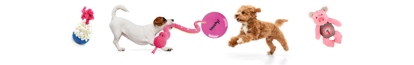 Brinquedos Tootoy