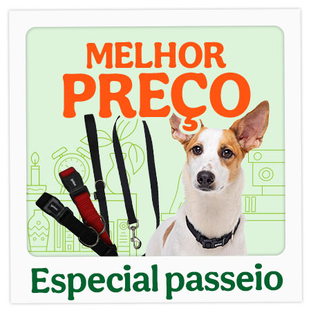 Acessórios de passeio com preços incriveis.