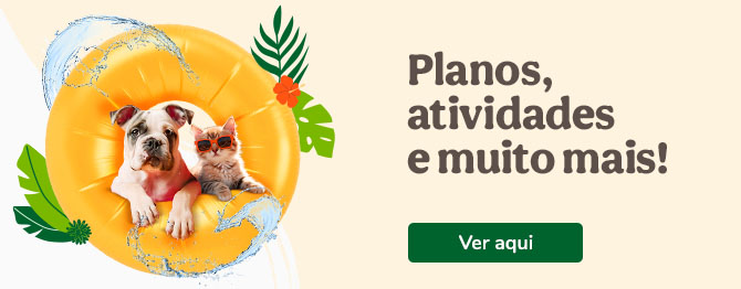 Planos, actividades e muito mais!