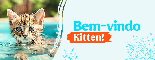 Bem-vindo Kitten