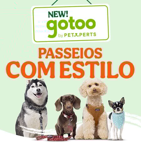 Gotoo: Seleção de acessórios para passeios diários