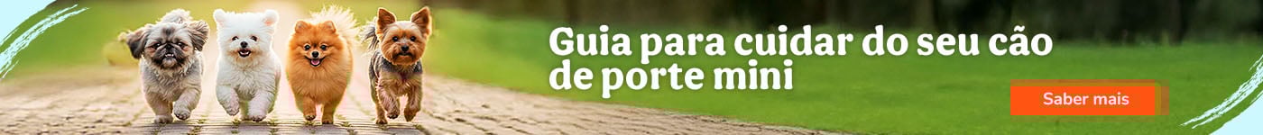 Cuidados y necesidades para perro mini o toy