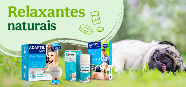 Relaxantes naturais