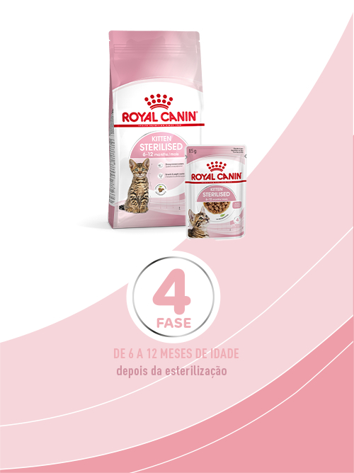 Royal Canin Gatinho