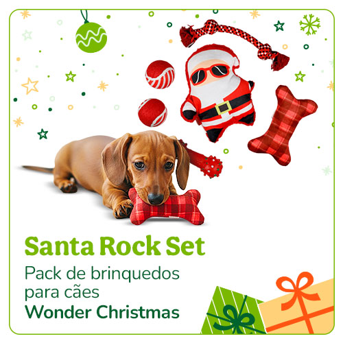 Conjunto de brinquedos.