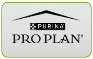 Pro Plan 20% desconto
