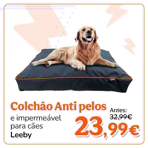 Colchão waterproof Anti Pelos para cães