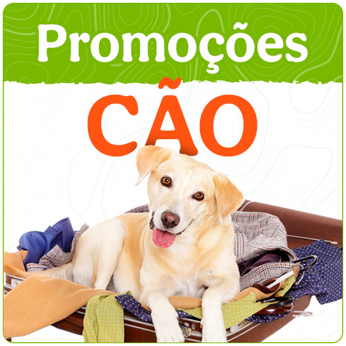 Promoções para cão.