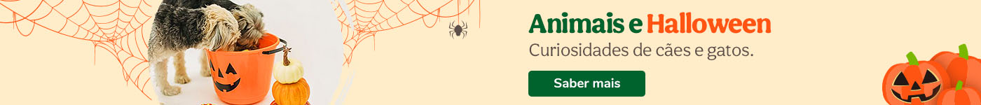 Especial Halloween com o seu companheiro: curiosidades e dicas