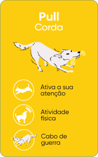  Pull - Brinquedos de corda para cão, para brincar ao busca e cabo de guerra. Promovem a atividade física