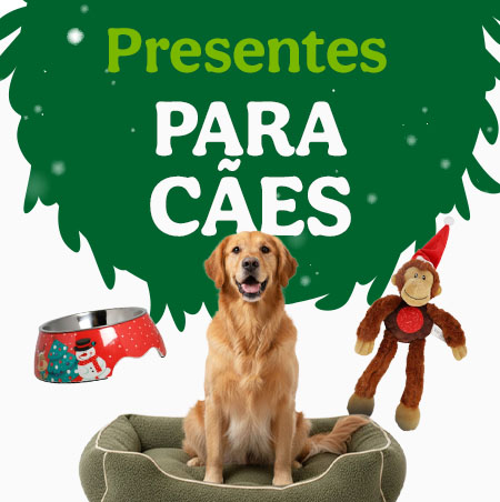 Presentes para cão.