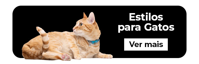 Gato- Seleção de acessórios para passeios diários. Encontre um estilo para cada momento.