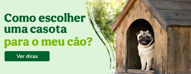 Dicas para escolher a melhor casota para o seu cão