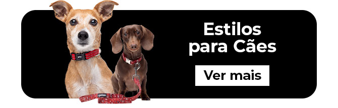 Perro- Selección de accesorios para el paseo diario. Encuentra tu estilo para cada ocasión