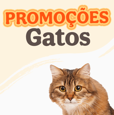 Promoçoes Gato