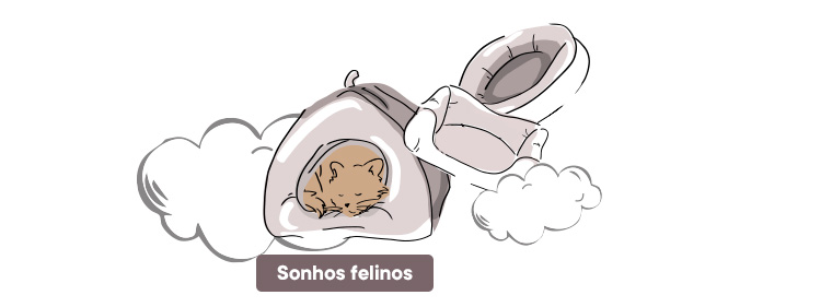 Camas para sonhos felinos