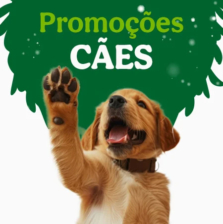 Promoções para cães.