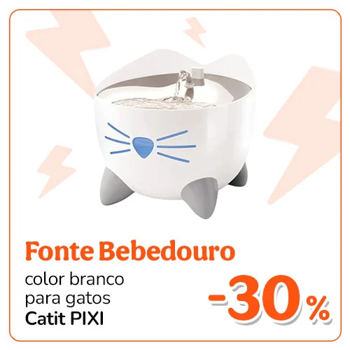 Bebedouro para gatos