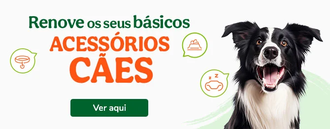 Os melhores acessórios para cão, com promoções especiais e variedade.