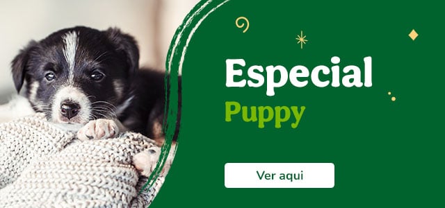 Especial Puppy