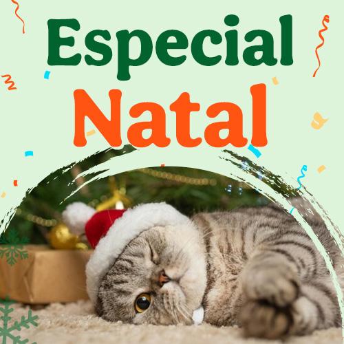 Especial Natal