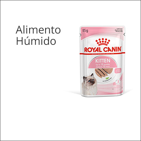 Royal Canin gatinho patê em saqueta