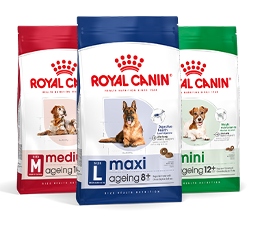 Royal Canin Cão Senior