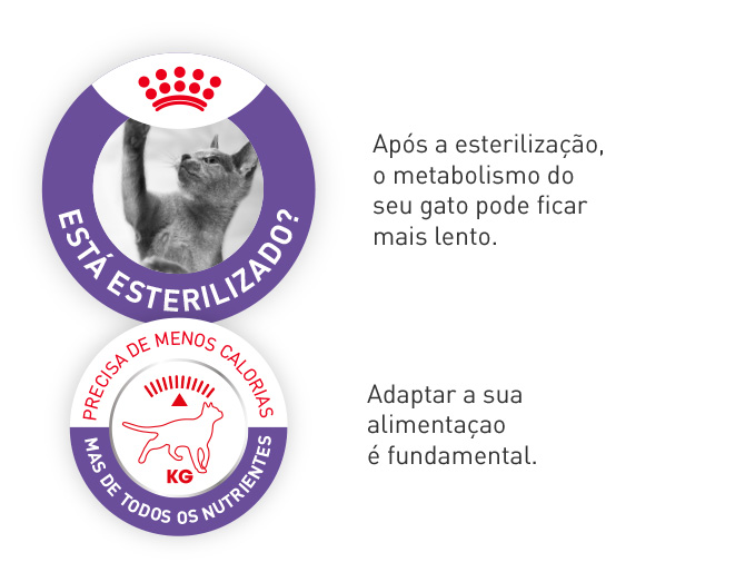 Royal Canin esterilizado. Adaptar a sua alimentação é fundamental, já que o metabolismo pode abrandar após a esterilização. Menos calorias, os mesmos nutrientes.