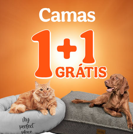 Pechinchanimal: 1+1 grátis em camas para o seu patudo.