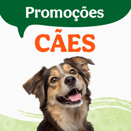 Promoções para cães.