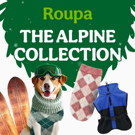 Outech: nova coleção de roupa para cães para manter o seu animal sempre na moda.