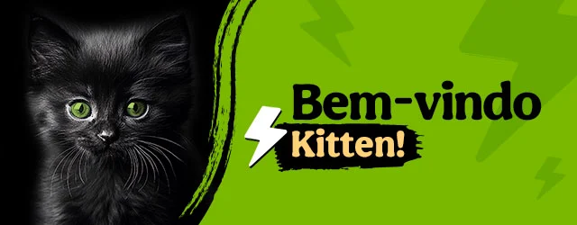 Os produtos essenciais para receber em casa o novo gatinho