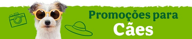 Promoções cão