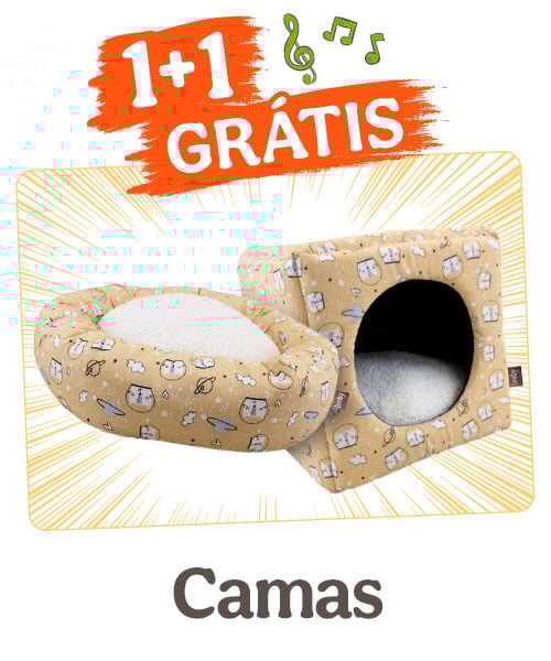 1+1 grátis em camas para gato.
