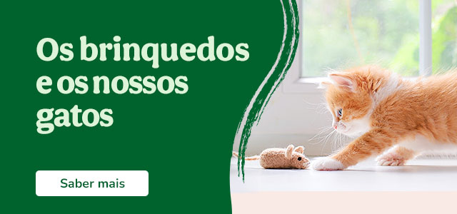 Brinquedos para gato.