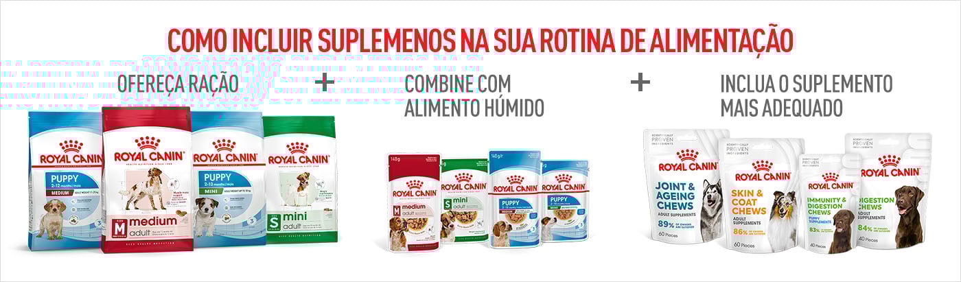 Como incluir os suplementos na rotina diária? Ofereça ração + alimento húmido + suplemento adequado à necessidade