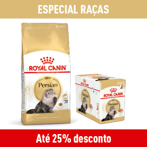 Especial raças gato