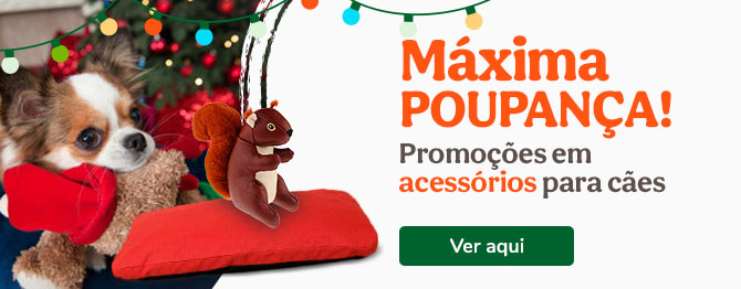 Promoções em acessórios