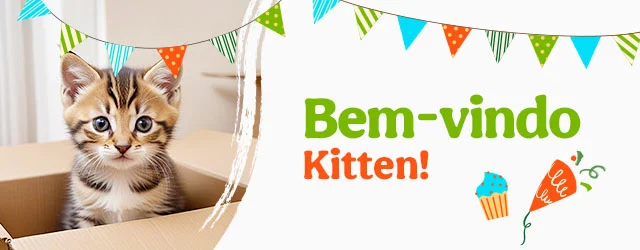 Os produtos essenciais para receber em casa o novo gatinho