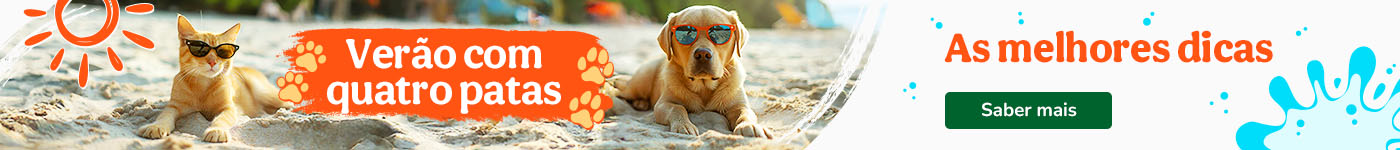 Dicas para passar o melhor verão com o seu patudo.