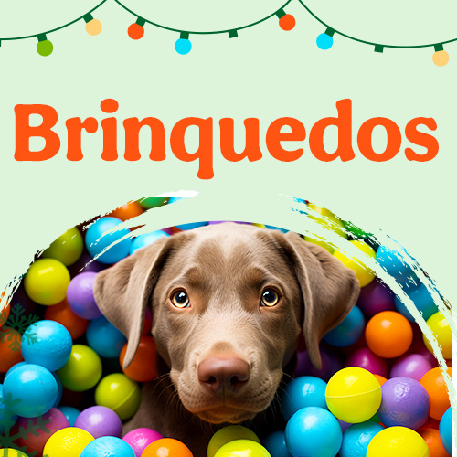 Promoções em Brinquedos