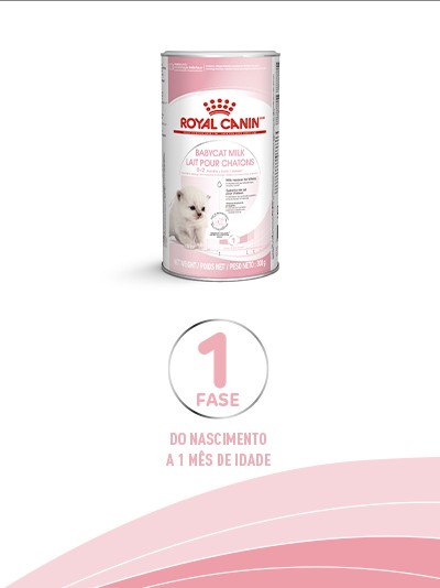 Royal Canin Gatinho