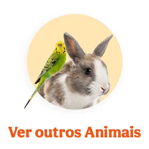 Ofertas outros animais