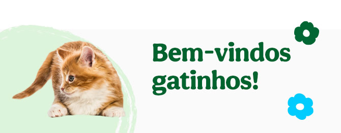 Aproveite o desconto!