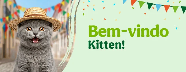 Os produtos essenciais para receber em casa o novo gatinho