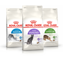 Royal Canin Gatos Estilo de vida